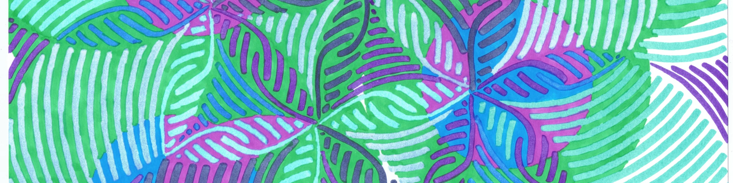 Banner image of toche