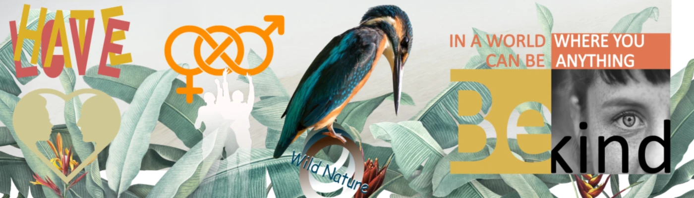 Bannière de fox1999