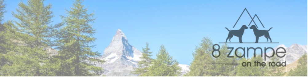 Banner image of 8zampeontheroad