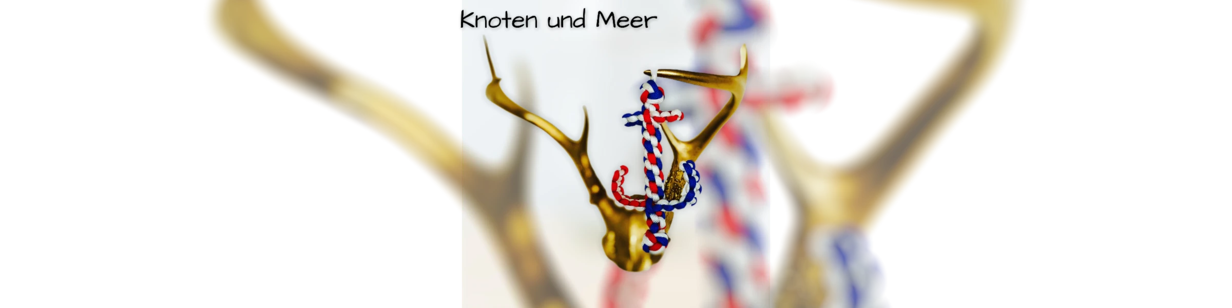 Bannerbild von Knoten und Meer