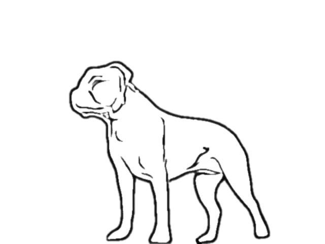 Banner image of Anna West