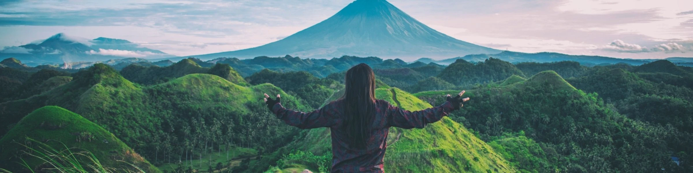 Banner image of veganer.lifestyle