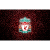YNWA-Liverpool