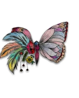 Bannière de @KIRA81