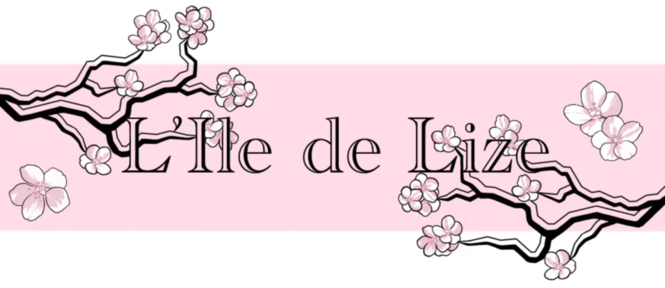 Bannière de L Ile de Lize