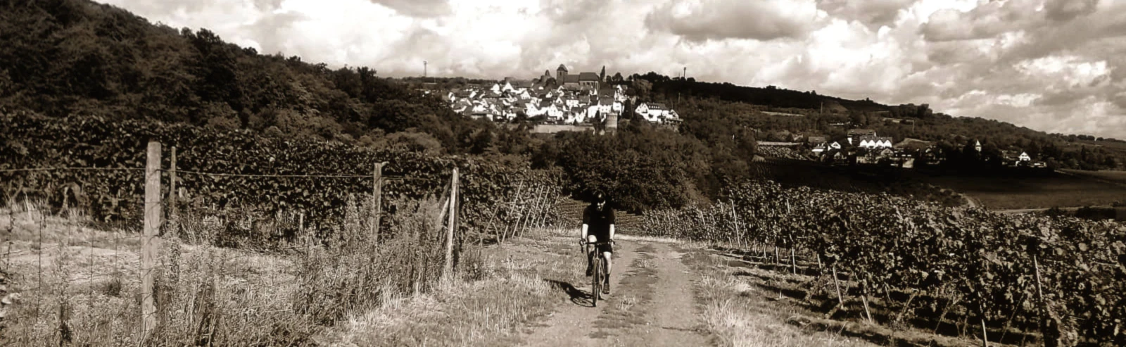 Banner image of calaneo