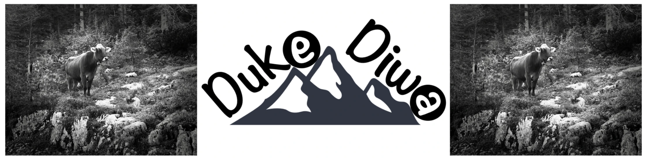 Banner image of Duke Diwa