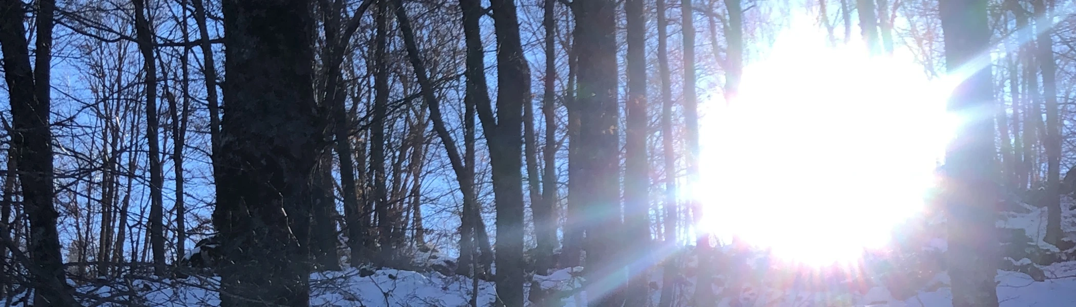 Banner image of H-Bar