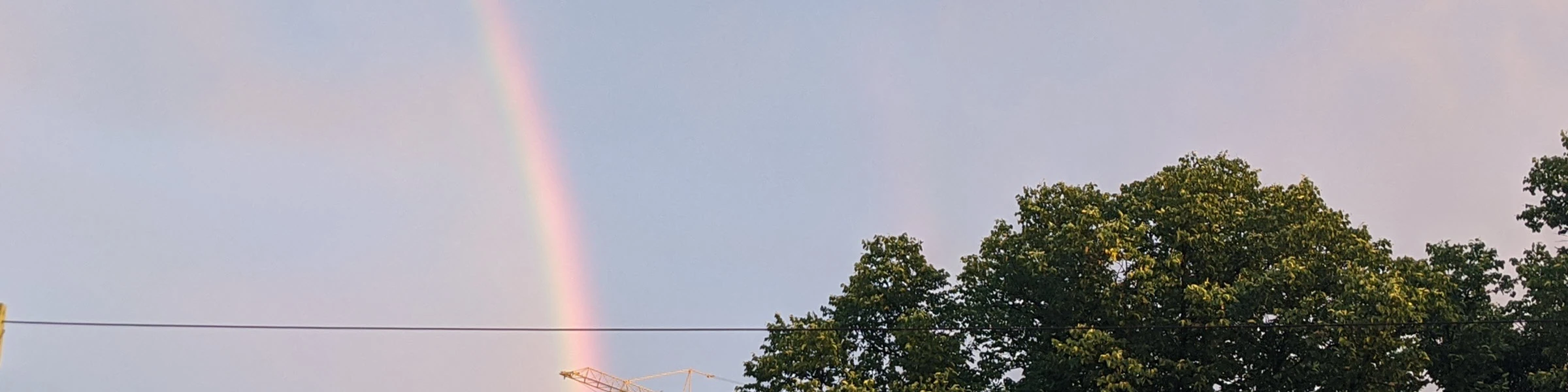 Bannerbild von ElnetoCC