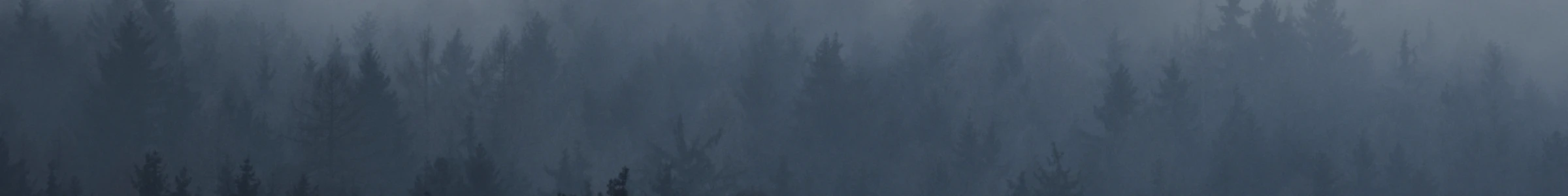 Bannerbild von NZ-Merch