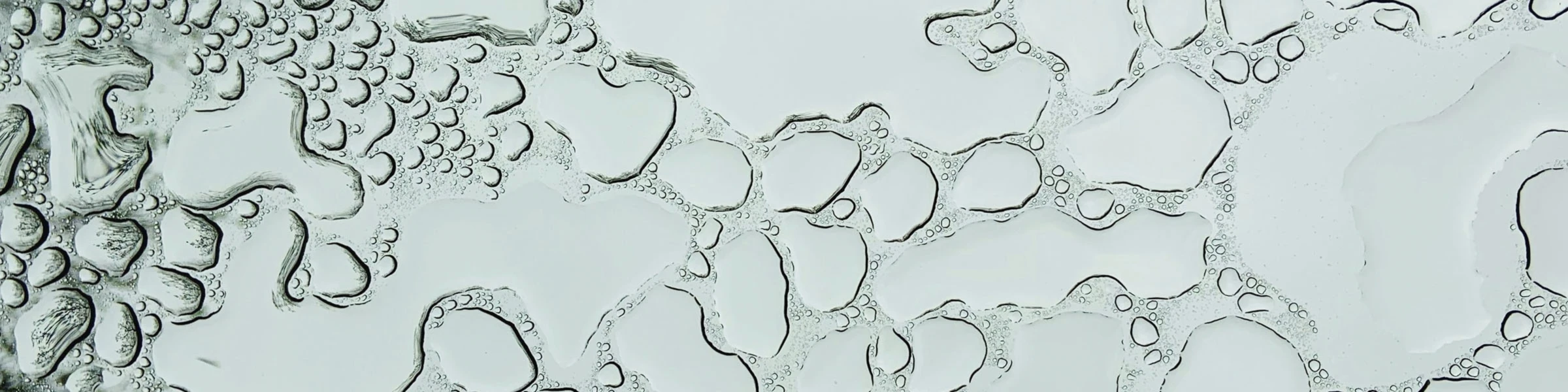 Bannerbild von The Pink Shamrock Co