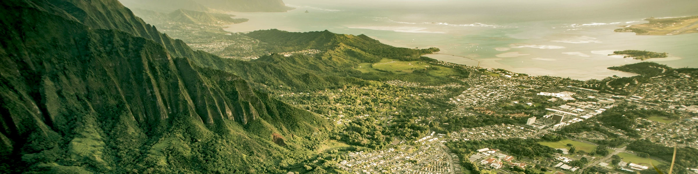 Banner image of Danielos