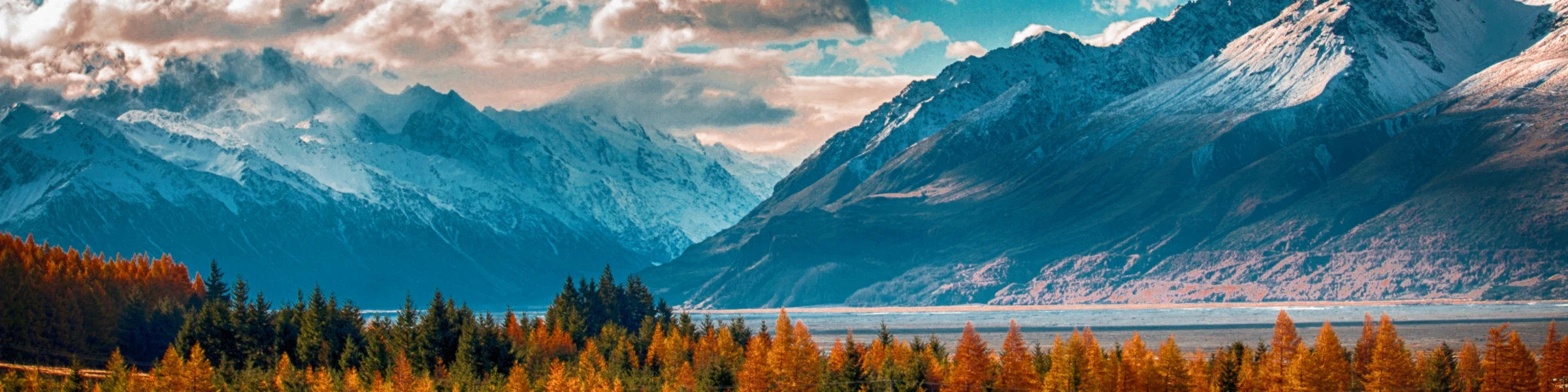 Banner image of ELZAP