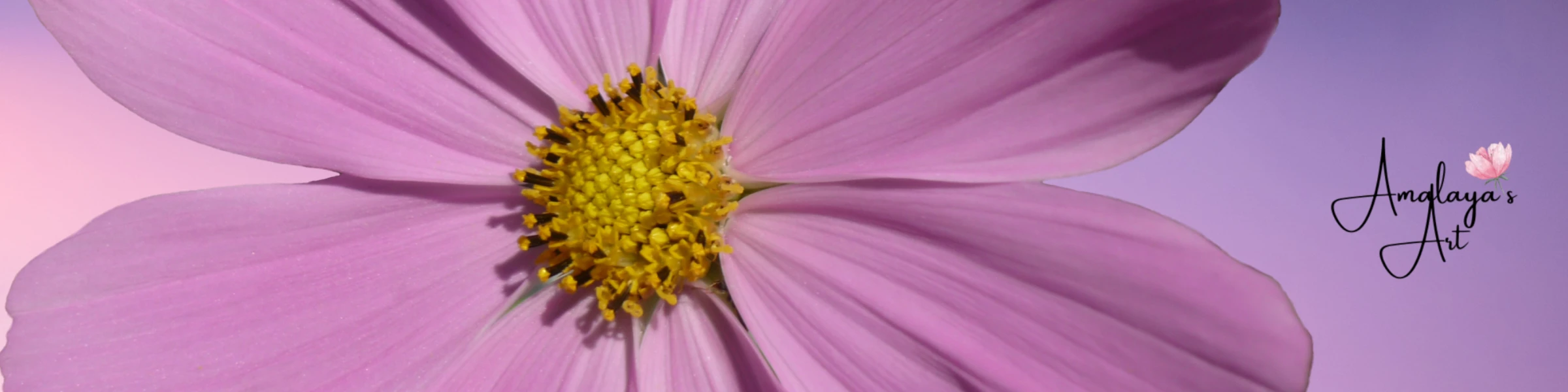 Banner image of Amalaya