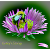 Kathys Design