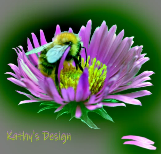 Bannerbild von Kathys Design