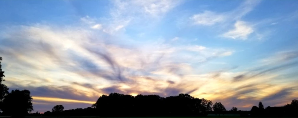 Banner image of FreeBird