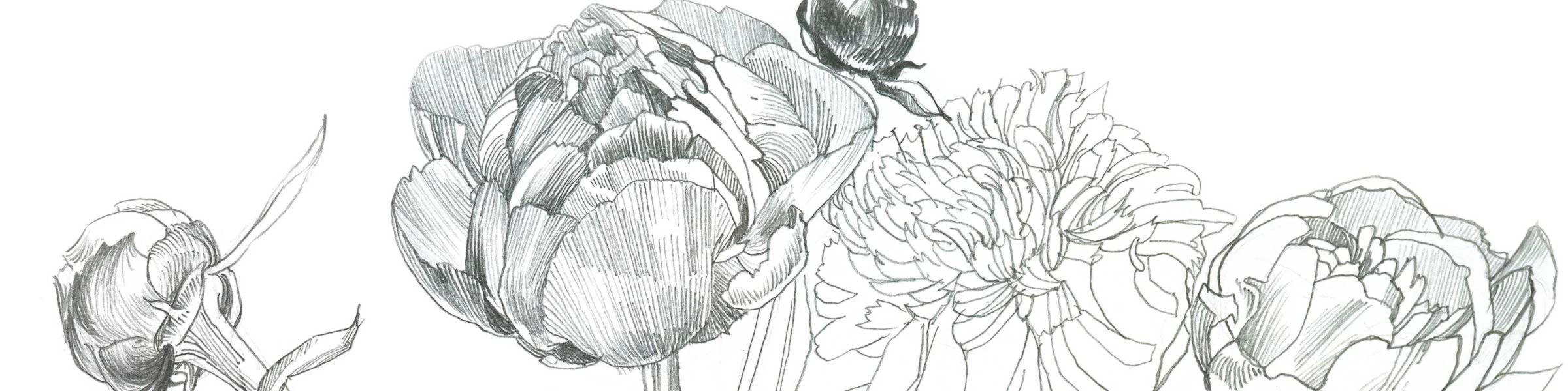 Banner image of StadtKinder