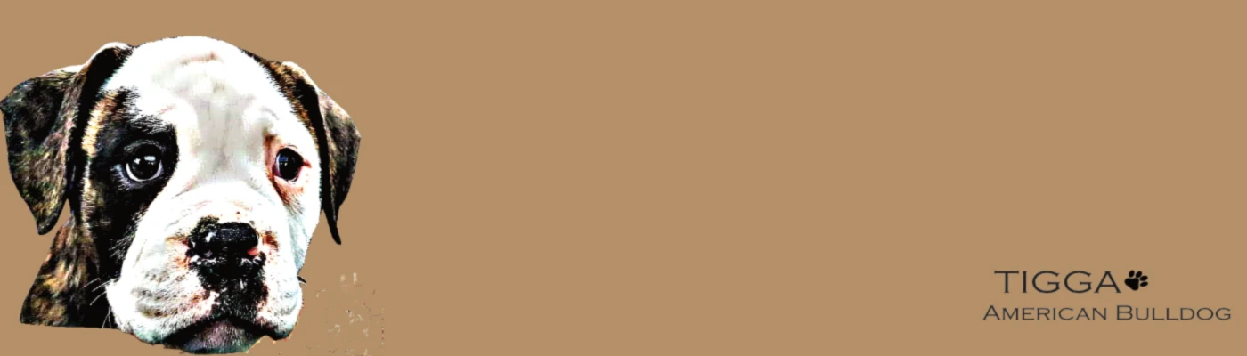 Banner image of TIGGA-Design