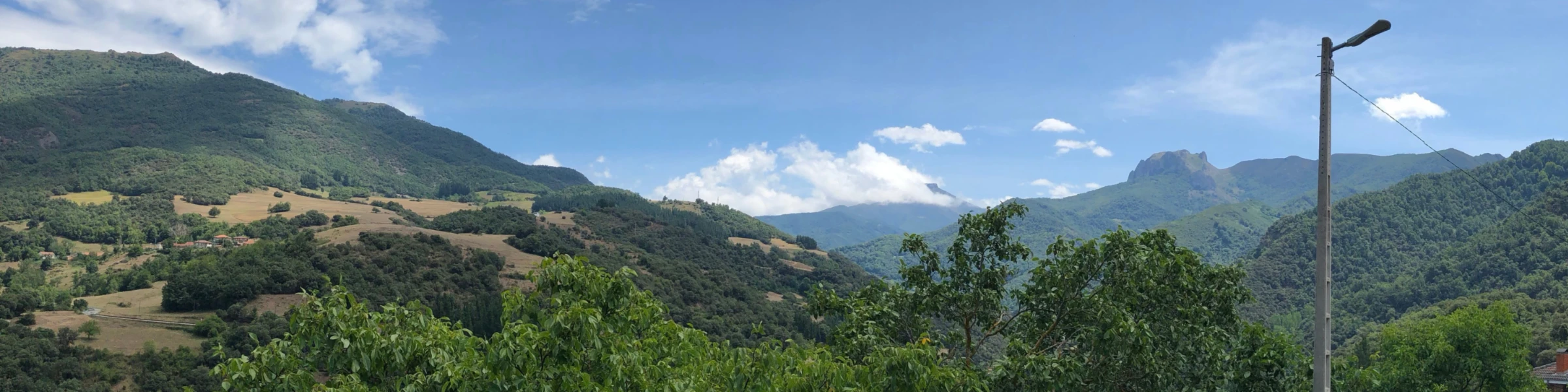 Banner image of Lcimmerio