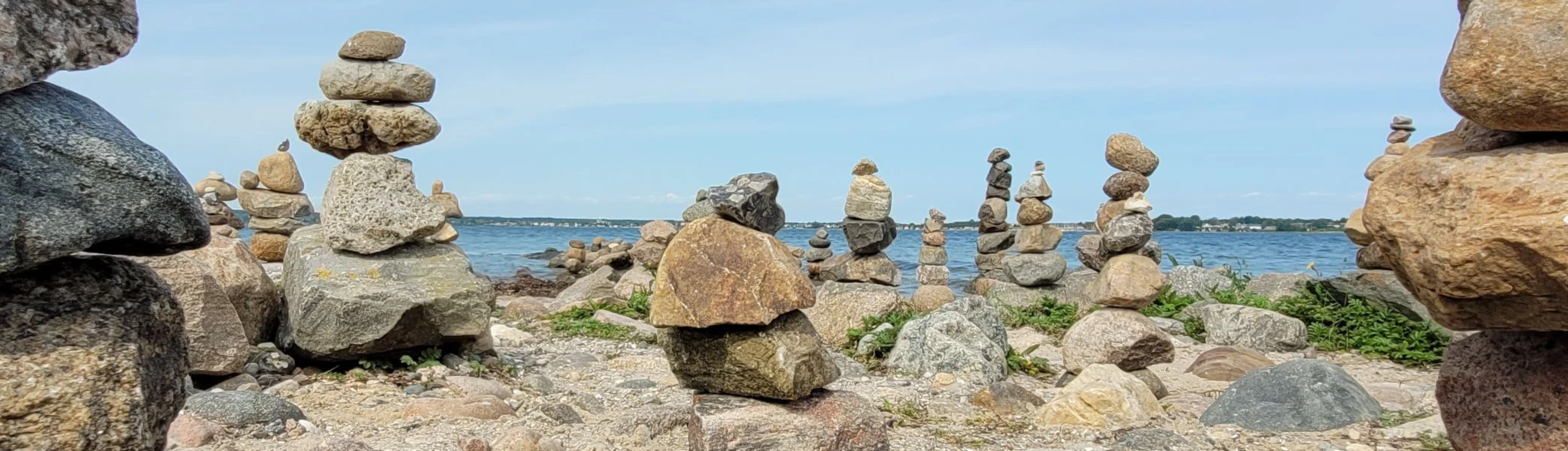 Banner image of FaxesSpSh246