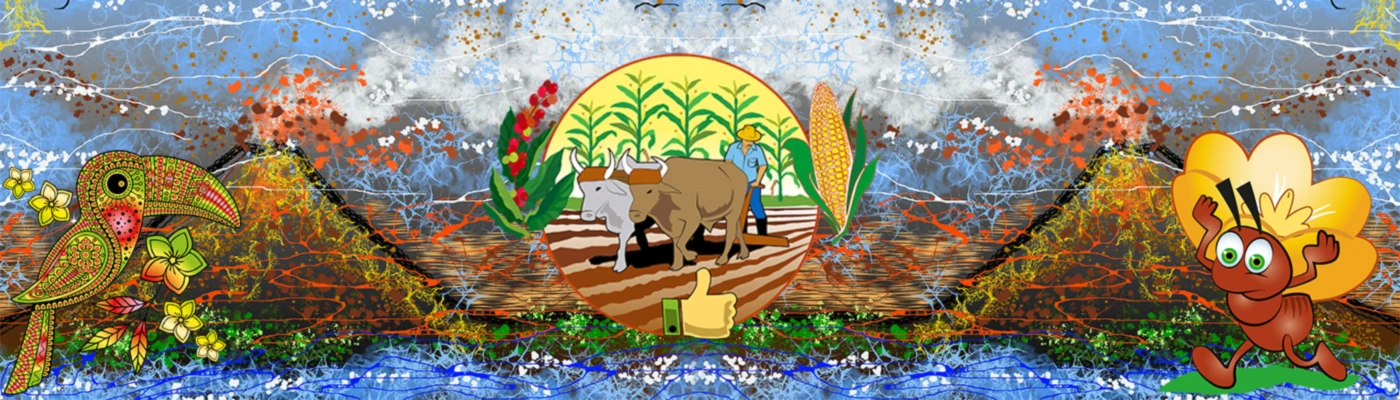 Banner image of Elnica