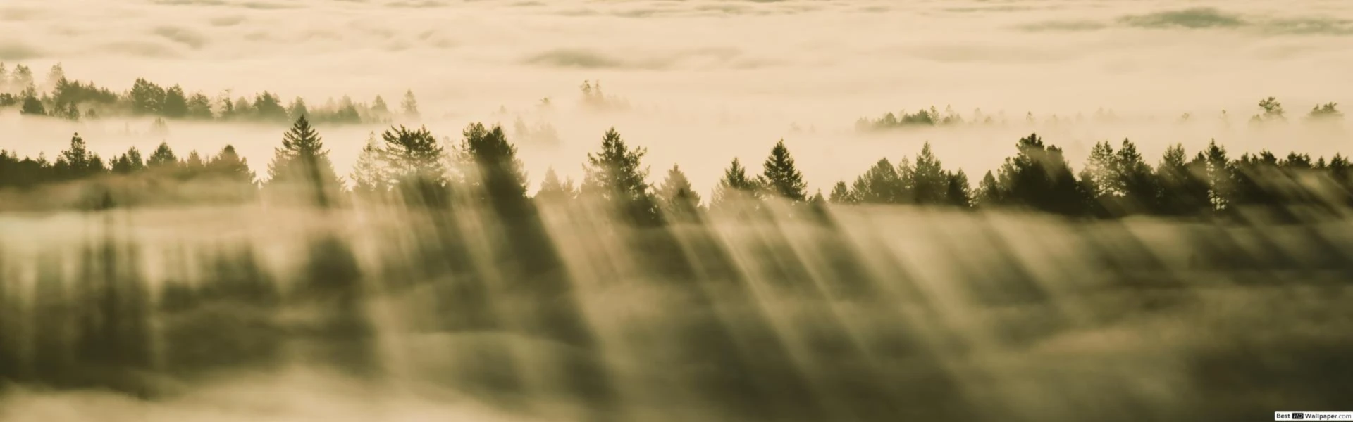 Bannerbild von JAMAAN