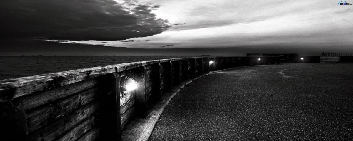 Banner image of AR21