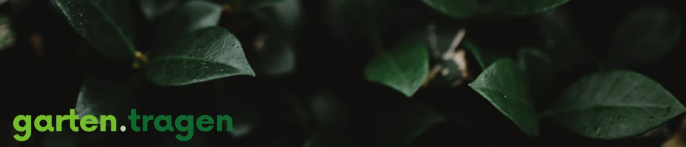 Bannerbild von garten.tragen