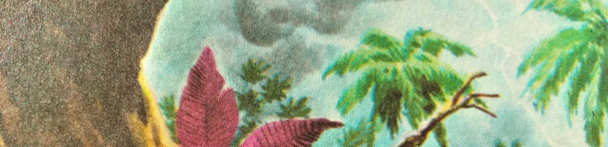 Banner image of thundershirt