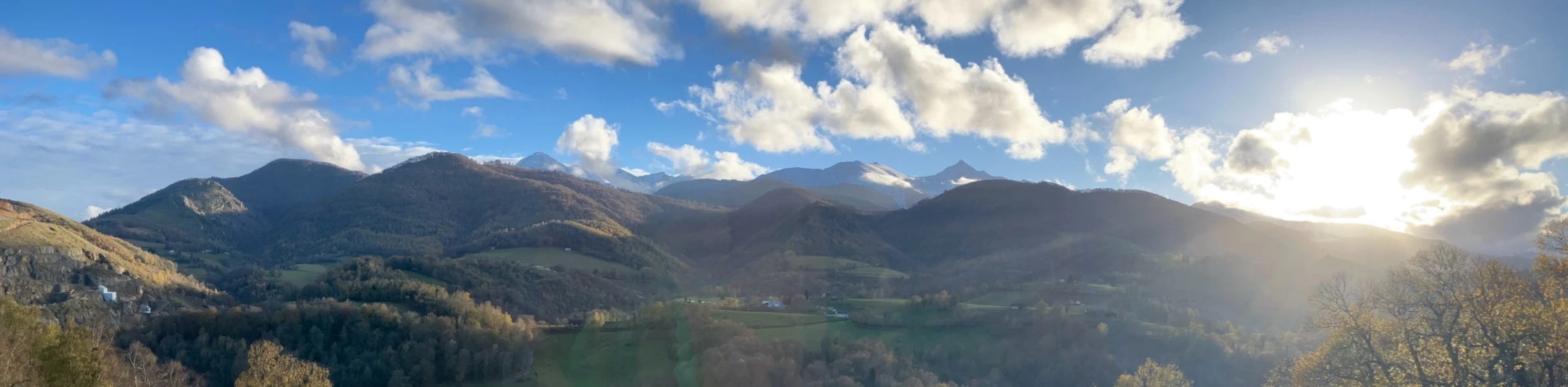 Bannerbild von R and D design