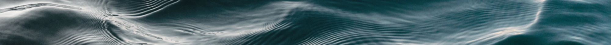 Banner image of Flonows Designs