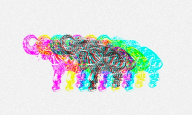 Bannerbild von shirts von rene