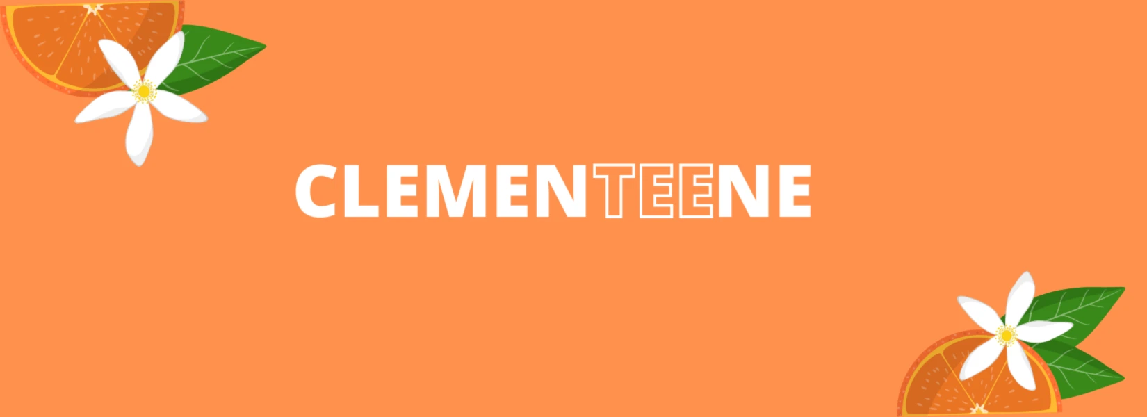 Bannière de TeeStore