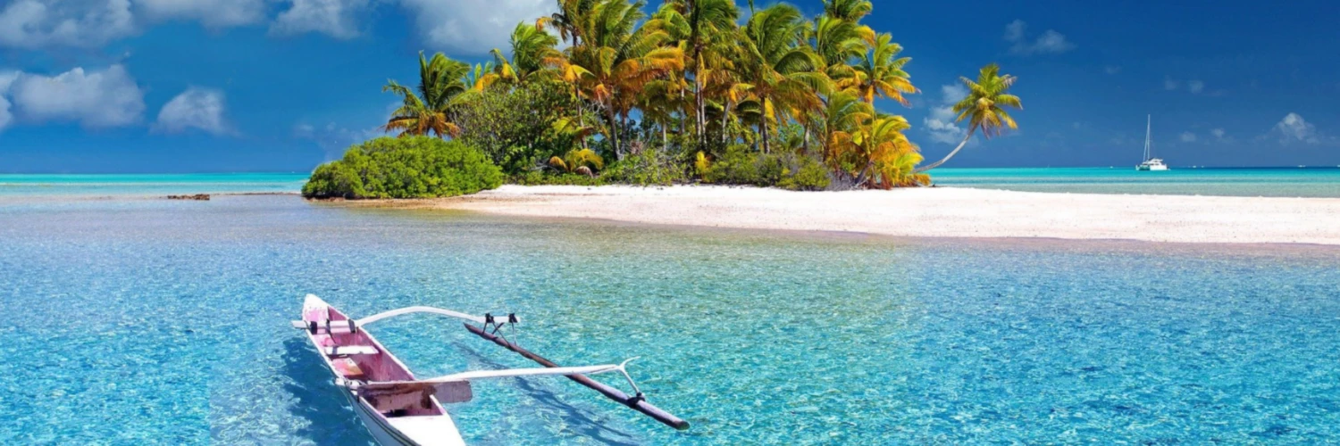 Banner image of scha6764