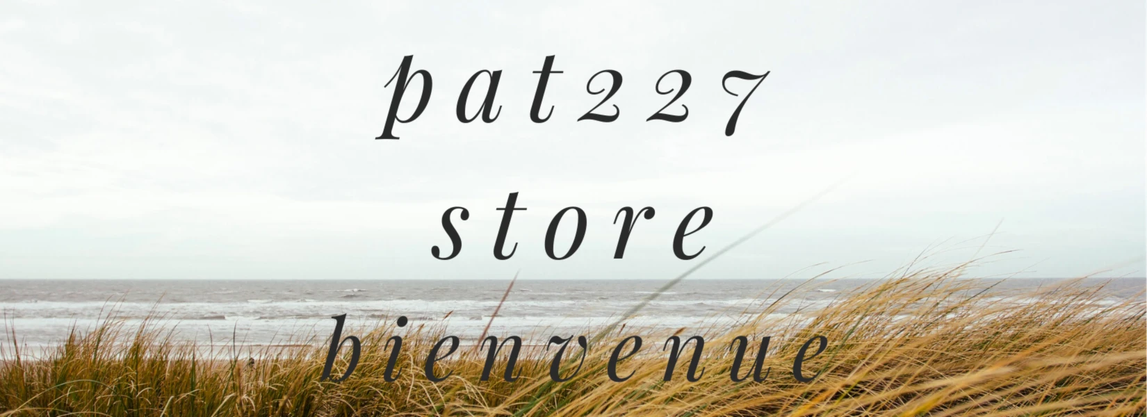 Bannière de pat227