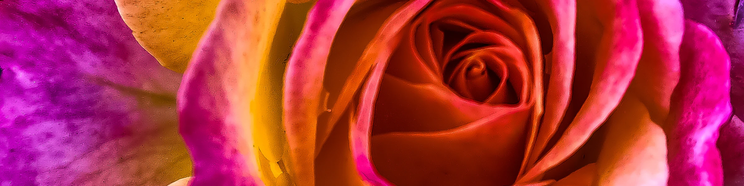 Banner image of Headless Design