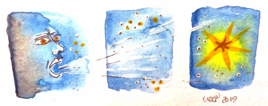 Banner image of pelledesign