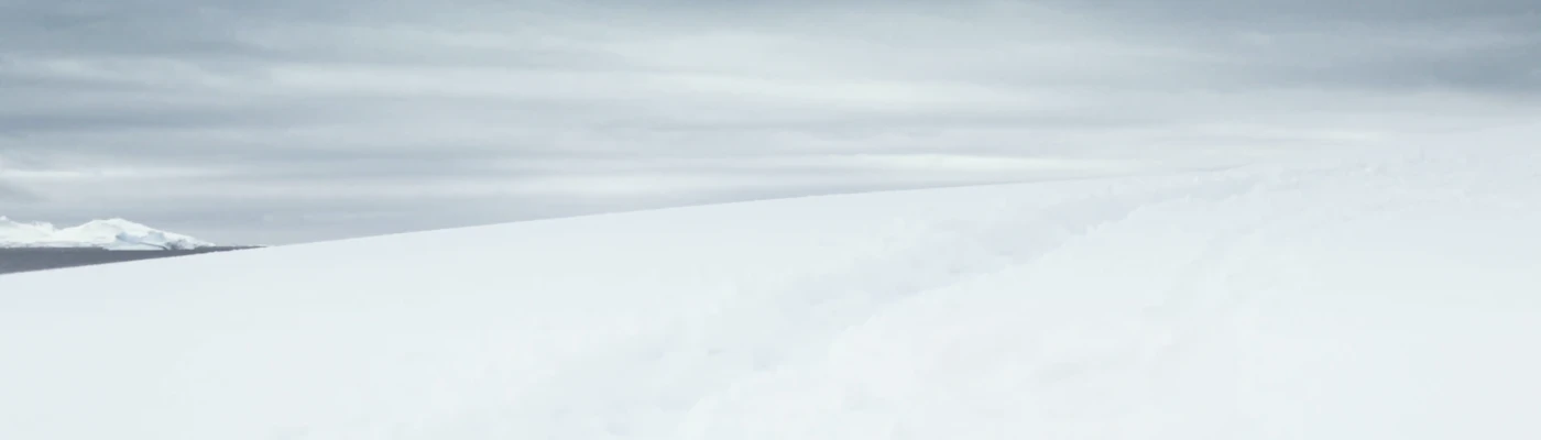 Banner image of BUGUBUGU