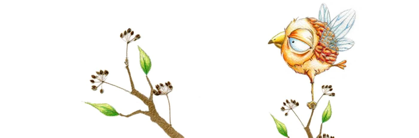 Banner image of dref