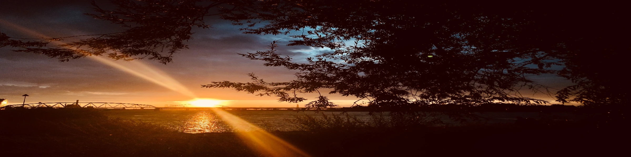 Bannière de Crizpen