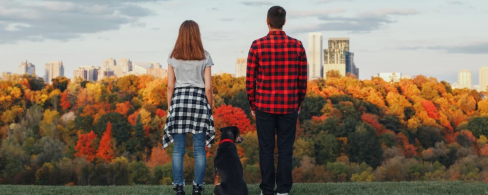 Bannerbild von tierischangezogen