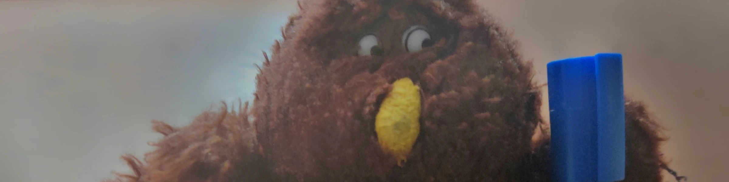 Banner image of Merchchicken