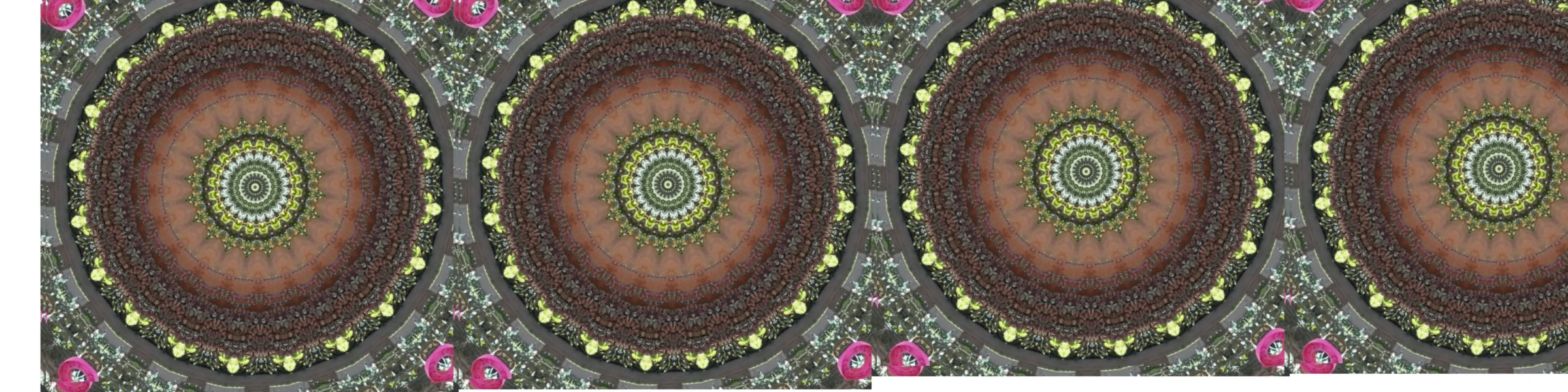 Banner image of Ekle