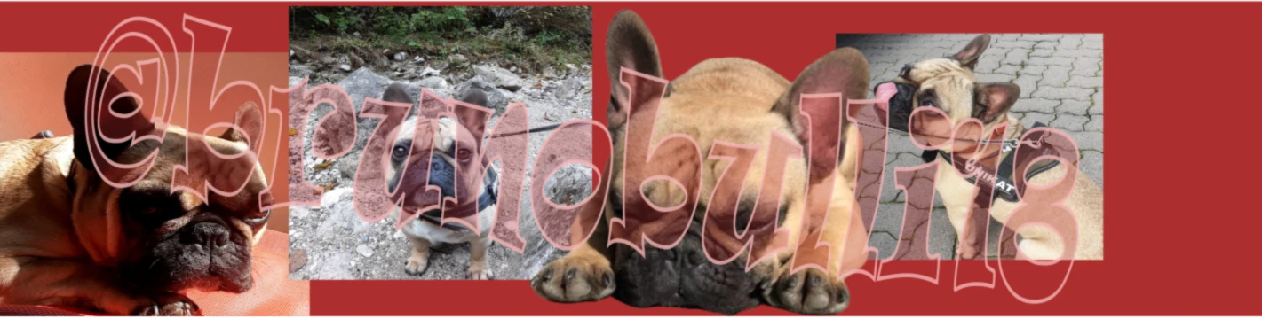 Banner image of Brunobulli18