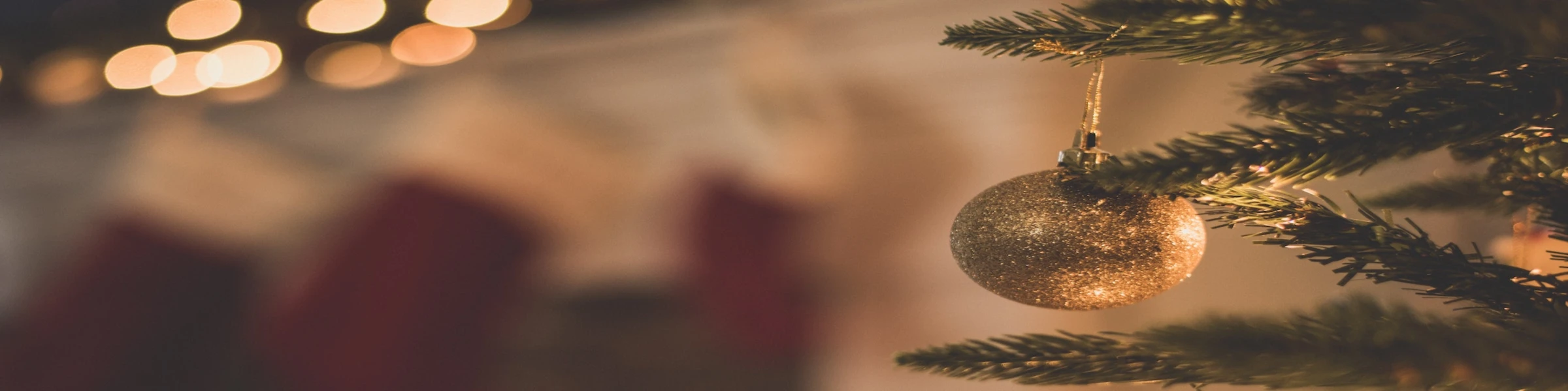 Banner image of 4BrainSolutions GmbH