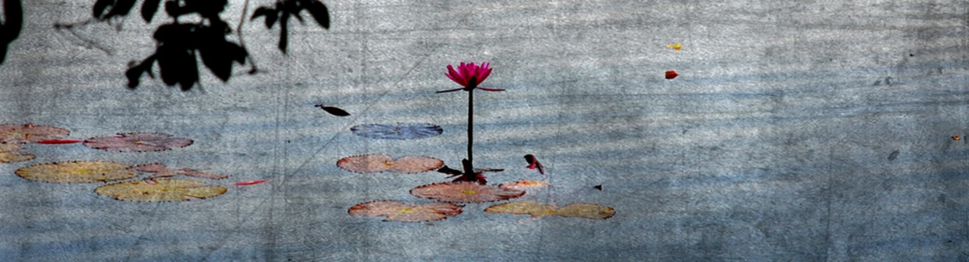 Bannière de shantime