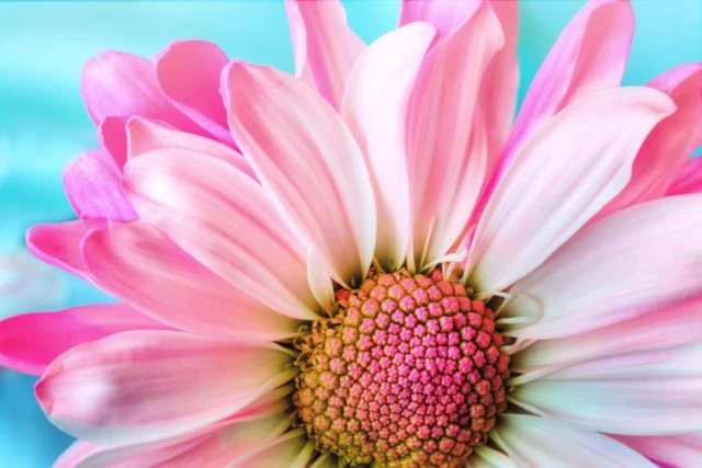 Banner image of OlliLocke