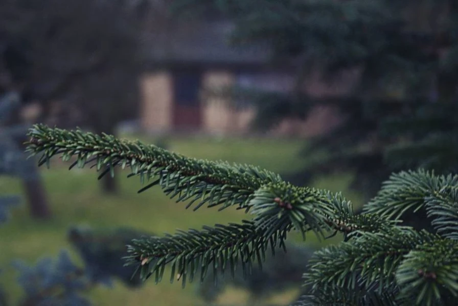 Banner image of RIA EARTHA