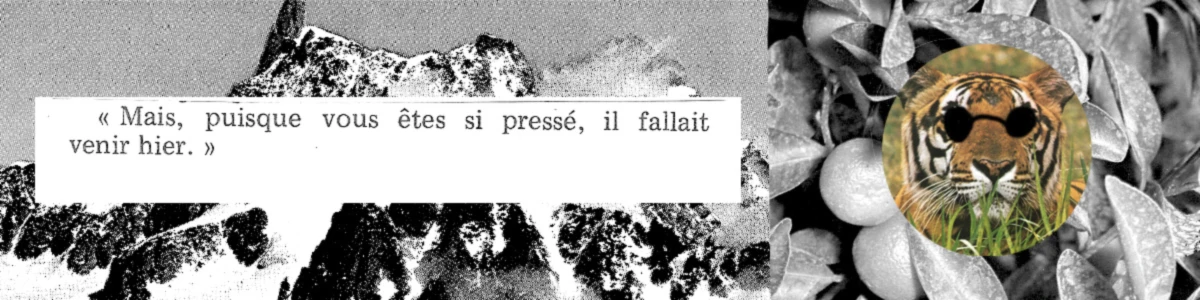 Bannière de Super TSA